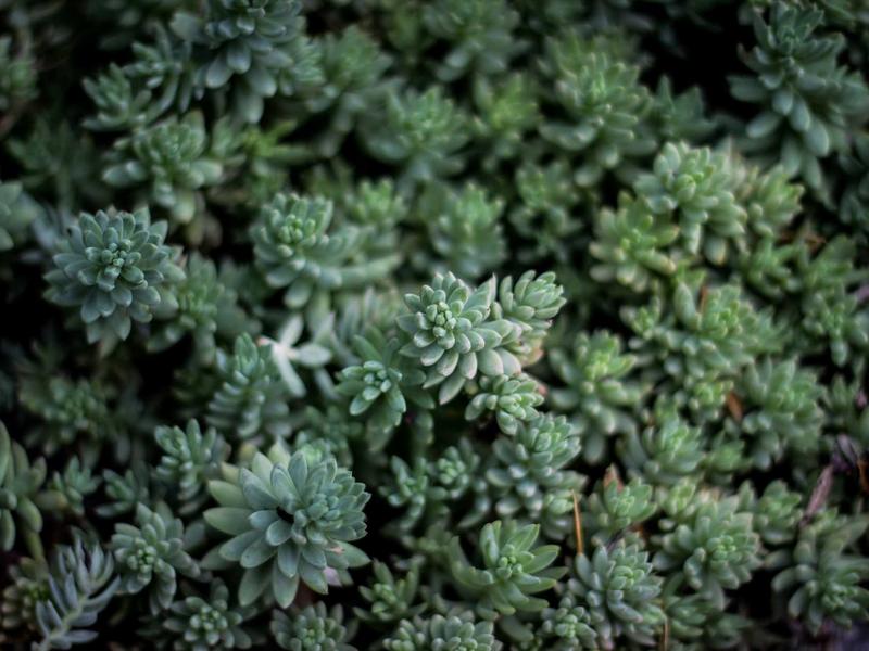 Discord社群搭建<br>服务器创建权限配置运营指南